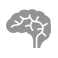 brain